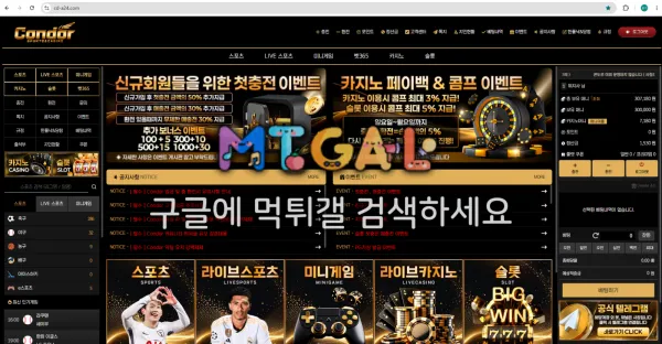 먹튀갤러리 제보에 첨부된 이미지 1