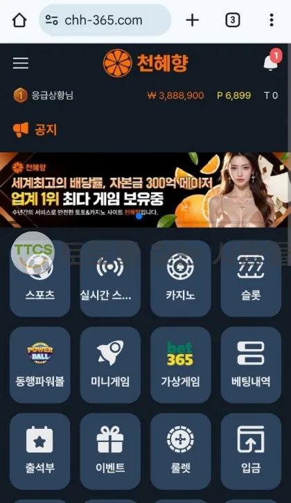 토찾사 제보에 첨부된 이미지 2